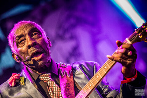 Blues Rules